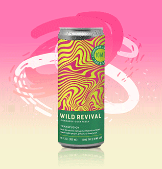 Hibiscus Cosmopolitan